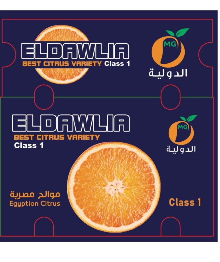 برتقال - صورة 2